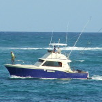 ccommons_sport_fishing_boat-smudger888